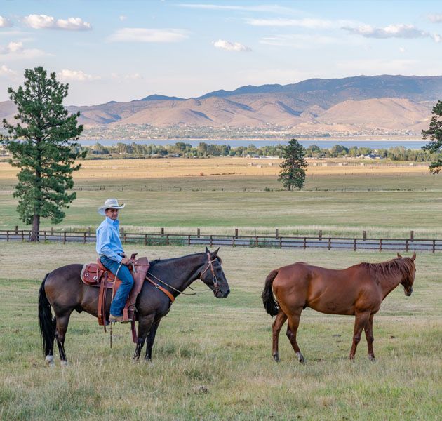 Flying ME Ranch