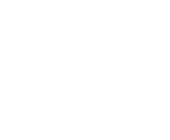 Onyx Digital Media Logo White